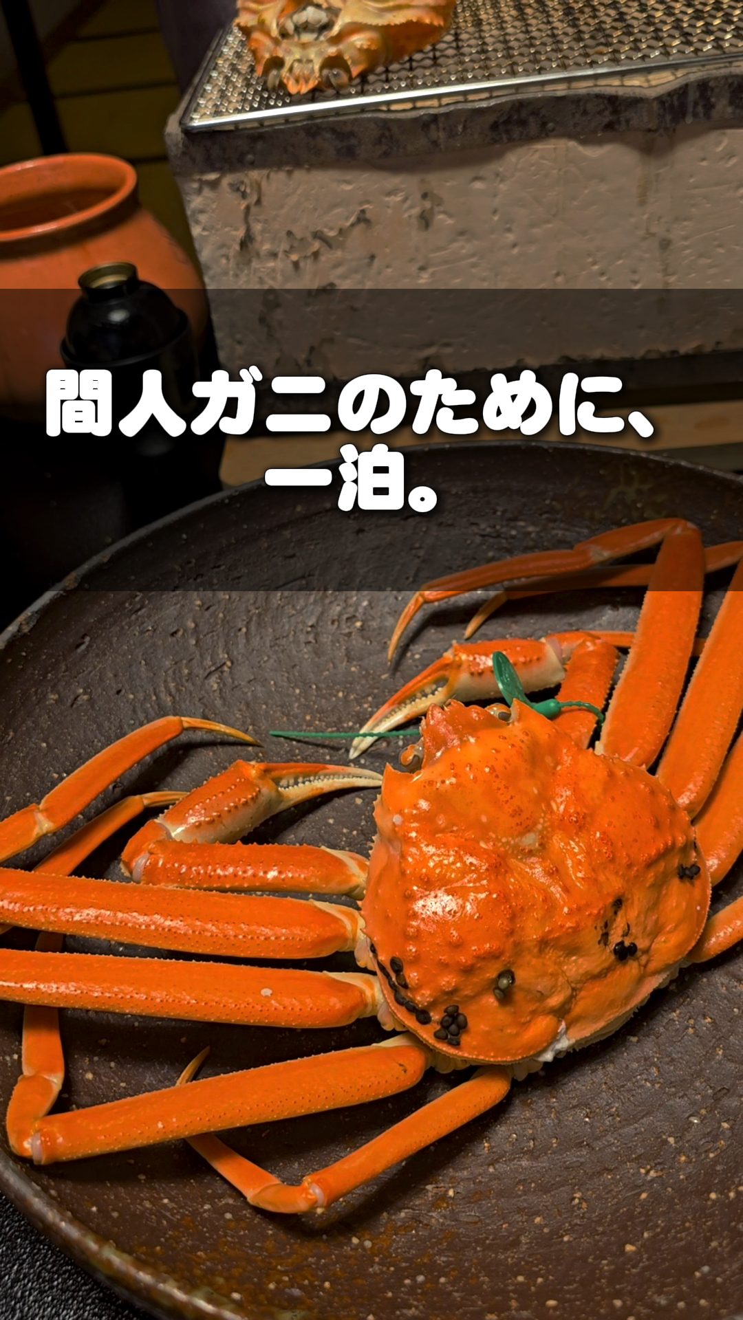 三養荘の紹介動画カバー